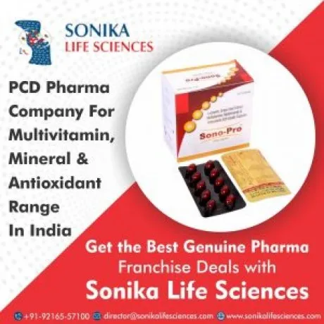 PCD Franchise for Multivitamins, Minerals & Antioxidants 1