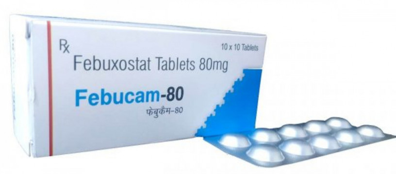 PCD Franchise Company for Febuxostat Tablets 80 mg 1