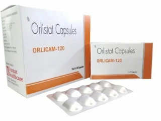 PCD Franchise Company For Orlistat 120 mg Capsules