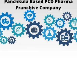 Panchkula Based PCD Pharma Franchise Company