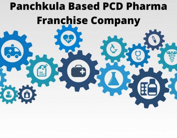 Panchkula Based PCD Pharma Franchise Company 1