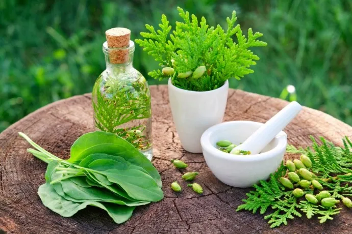 Herbal Range Products PCD Franchise Company 1