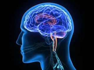 Third Party Manufacturers for Neuro Range