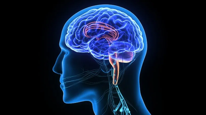 Third Party Manufacturers for Neuro Range 1