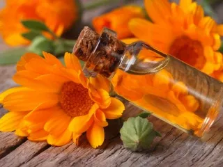 Herbal Ayurvedic Company
