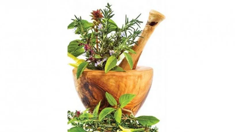 PD based Pharma Franchise Company for Ayurvedic Range 1