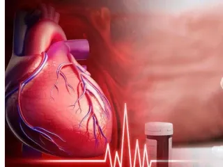 Cardiac Diabetic Pcd Pharma Franchise